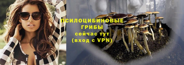 хмурый Абаза