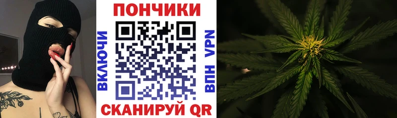 Канабис White Widow  площадка телеграм  Грайворон 